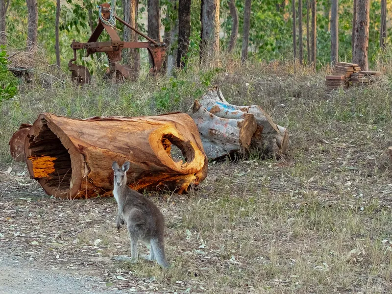 10,000 Square Metres of Wildlife Wonderland