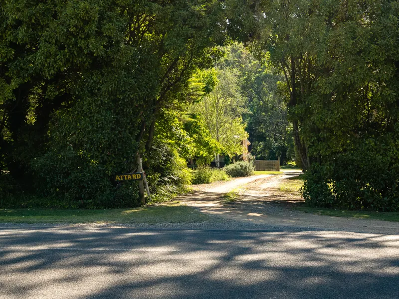 Wistful Wandi - Private and on the river