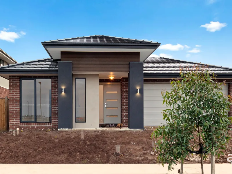 Family Treasure Trove