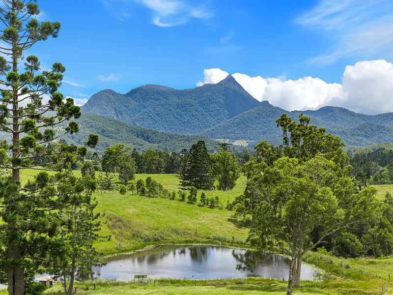 Sustainable living - paddock to plate ethos for extended family
