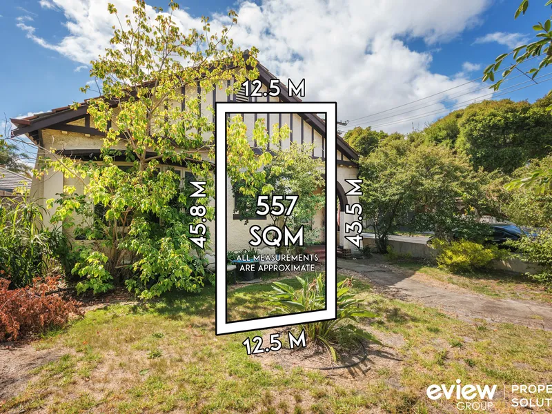 BLUE-CHIP, NORTH FACING CORNER PROPERTY