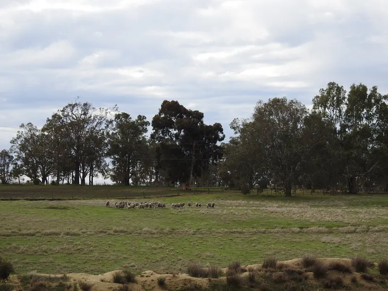 Fantastic Buying at this Price! 