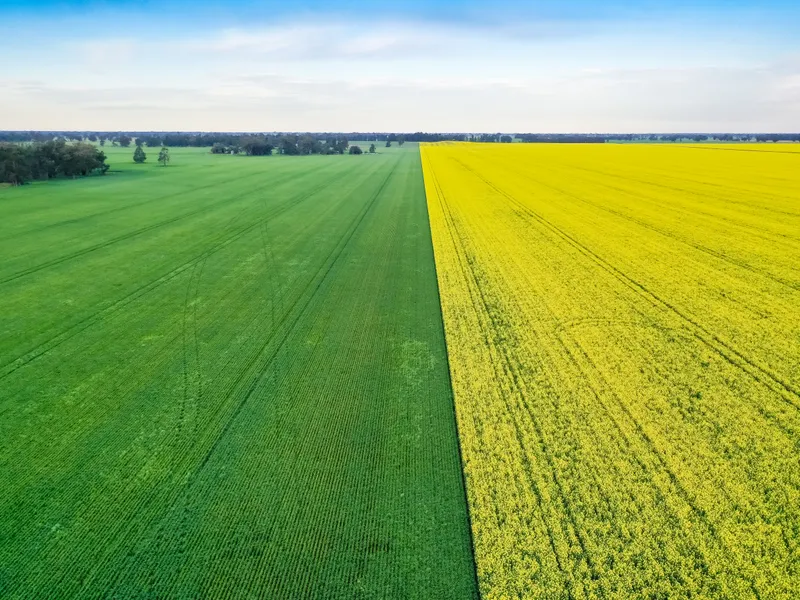 ‘ROOIRAND’ BERRIGAN – ONE OF THE BERRIGAN DISTRICTS FINEST IRRIGATION HOLDINGS