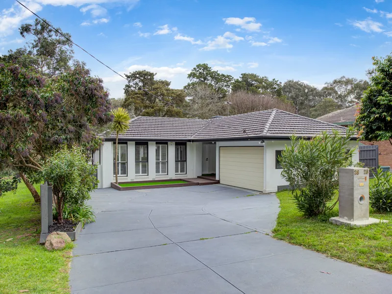 Park-Side Modern Retreat in a Convenient Location