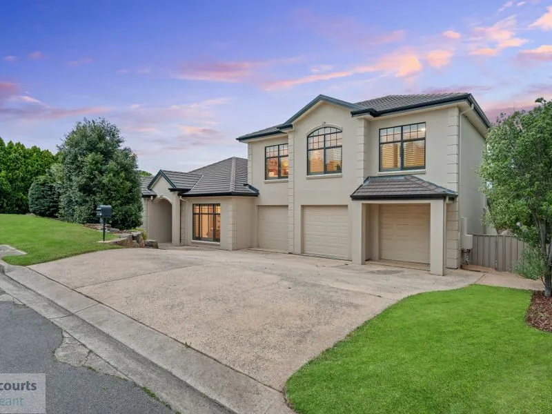 The King Of The Hill!