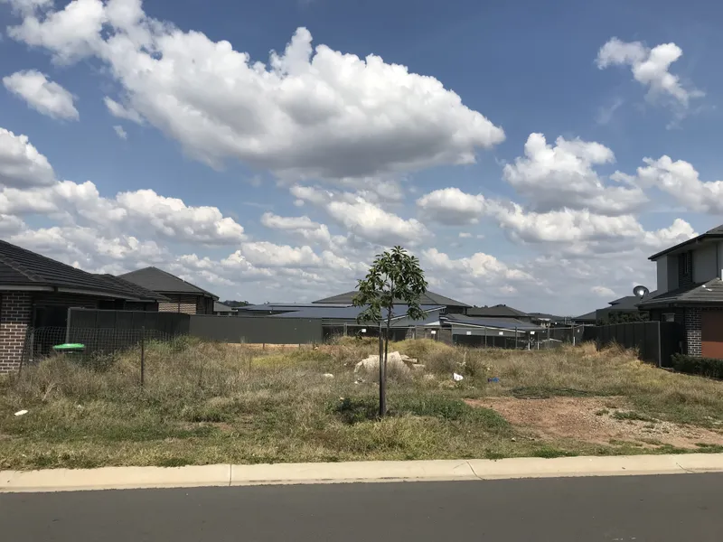 BUILD OR SUBDIVIDE AND VIEWS 