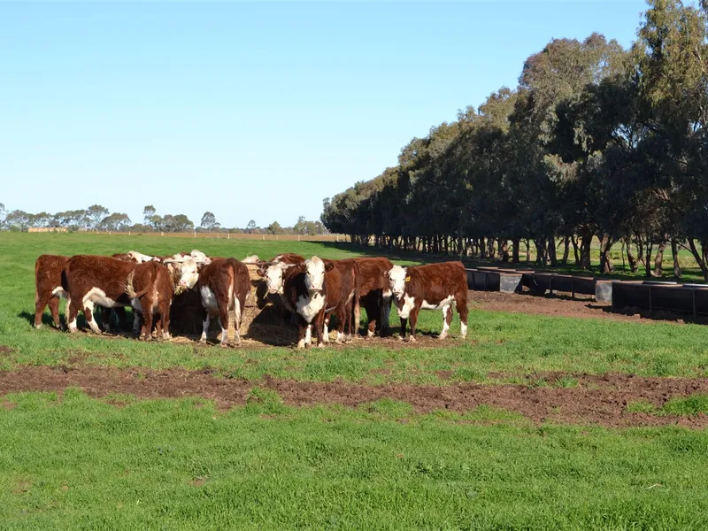 300 Acre PLUS Farm