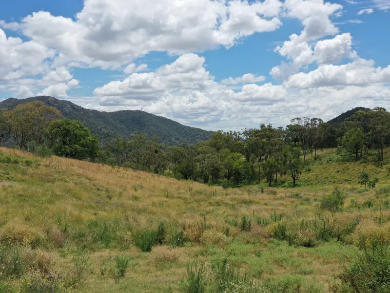 EXCITING OPPORTUNITY - LARGE BLANK CANVAS
