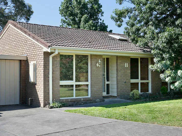 Room to Run! Available this weekend.