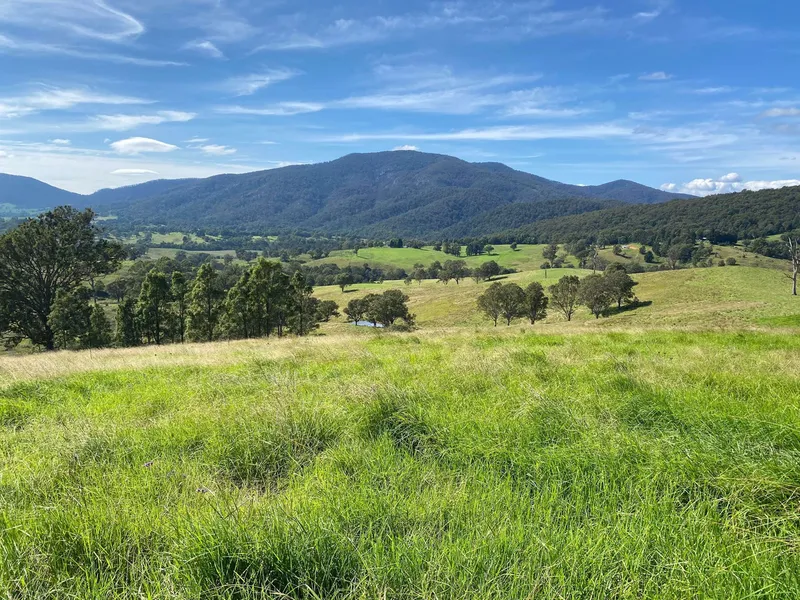 228 ACRES IN BROGO.