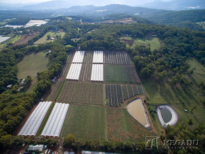 Enjoy a country lifestyle while earning $300,000 a year