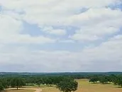 Sold : Need your land sold?