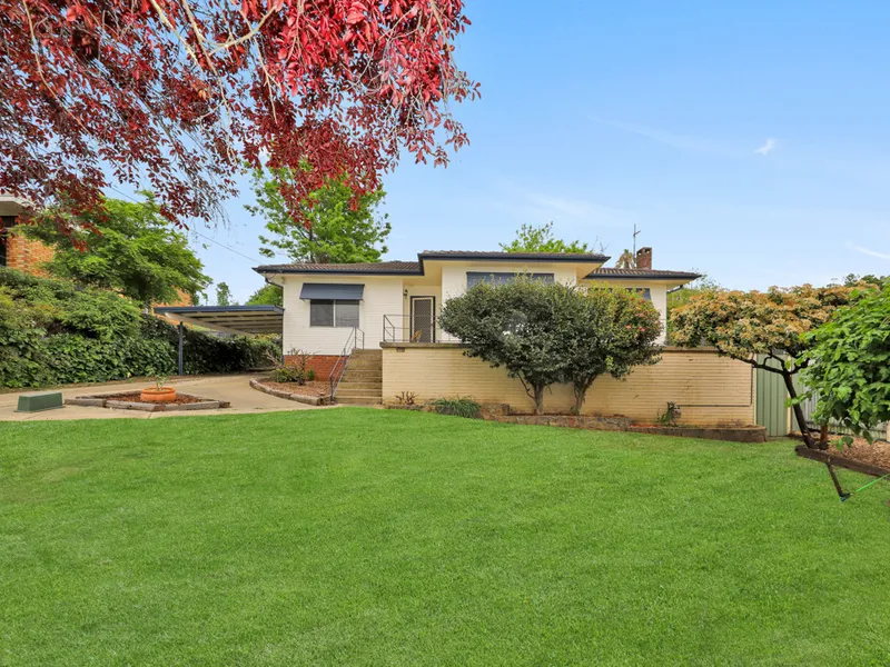 What a Transformation