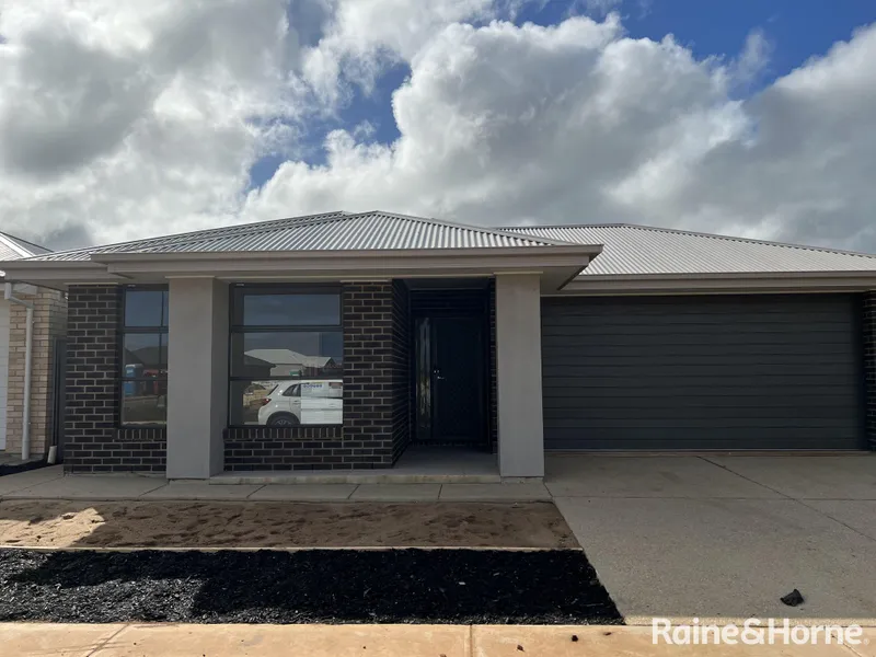 Brand new Four bedroom Home in Blakeview!