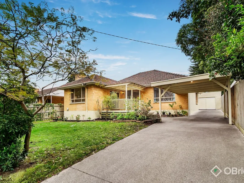 Retro Character, Rare Gardens, Rangeview Zone