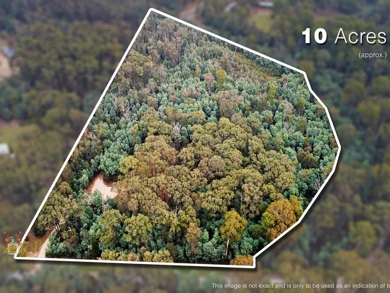 UNTOUCHED BUSH RETREAT WITH PERMITS - 10 ACRES 