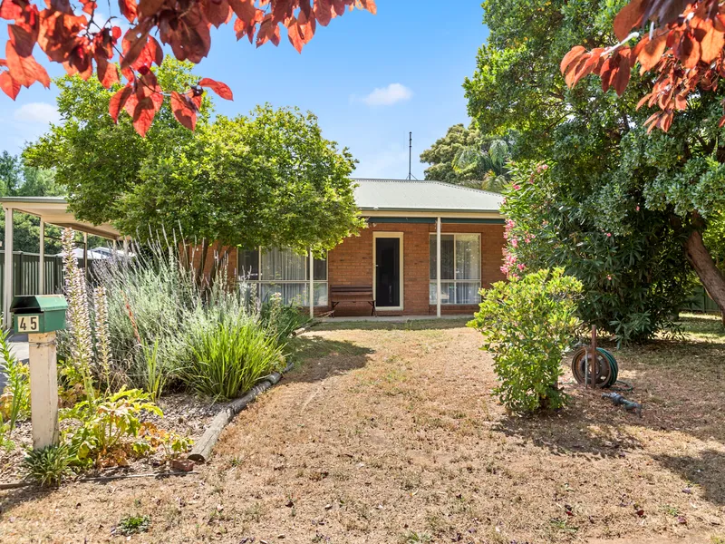 Leafy Shelton Street Location