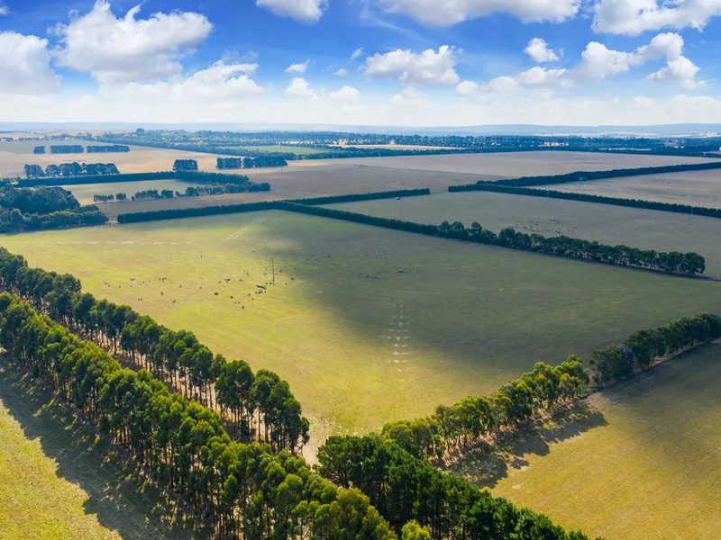 IMMACULATE ATTRACTIVE BALLARAT DISTRICT PROPERTY