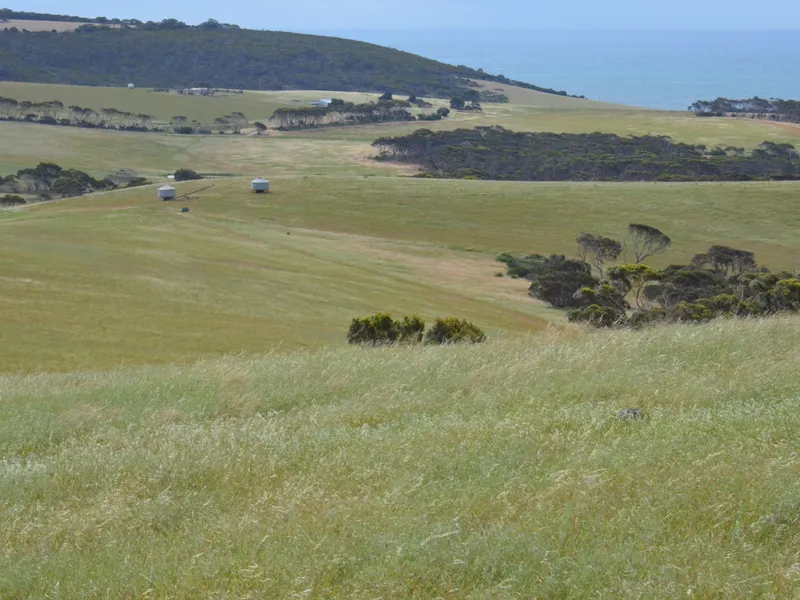 GRAZING, CROPPING OR NORTH COAST LIFESTYLE