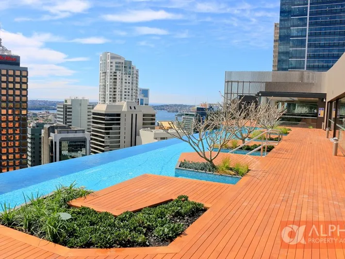 Superbly Sunlit Studio Apartment in Prime North Shore Locale