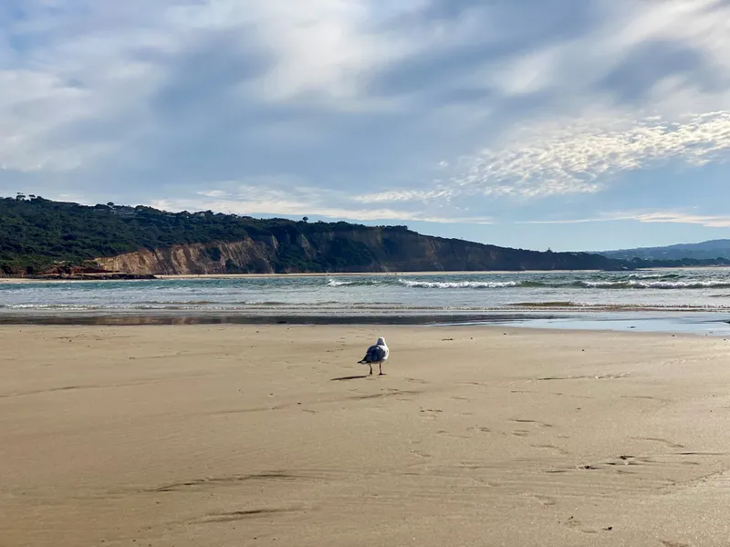 Pour On The Seaside Charm