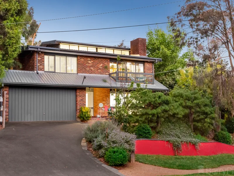 Leafy, light-filled family sanctuary.