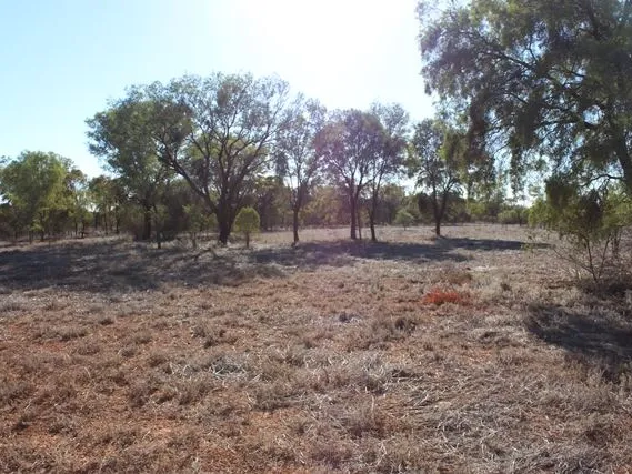 Mafeesh Estate acreage blocks