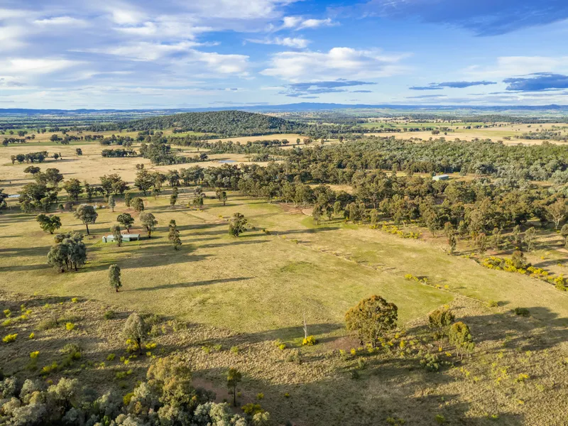 300 ACRES* PERFECT FOR LIVESTOCK & A LIFESTYLE ESCAPE!