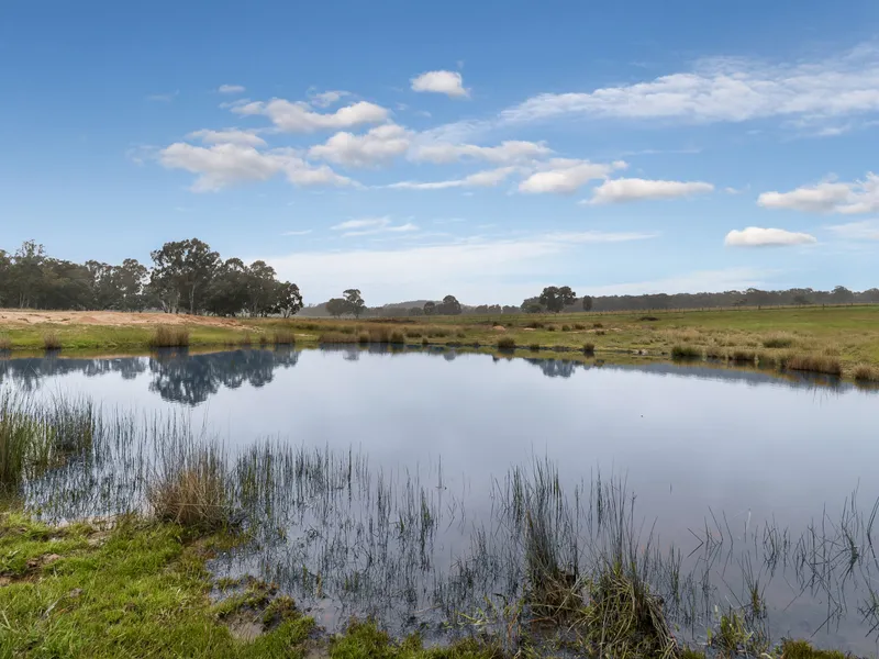 Versatile Lifestyle Property - Build your Dream Home**