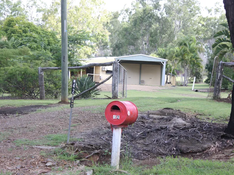 AUCTION AUCTION AUCTION