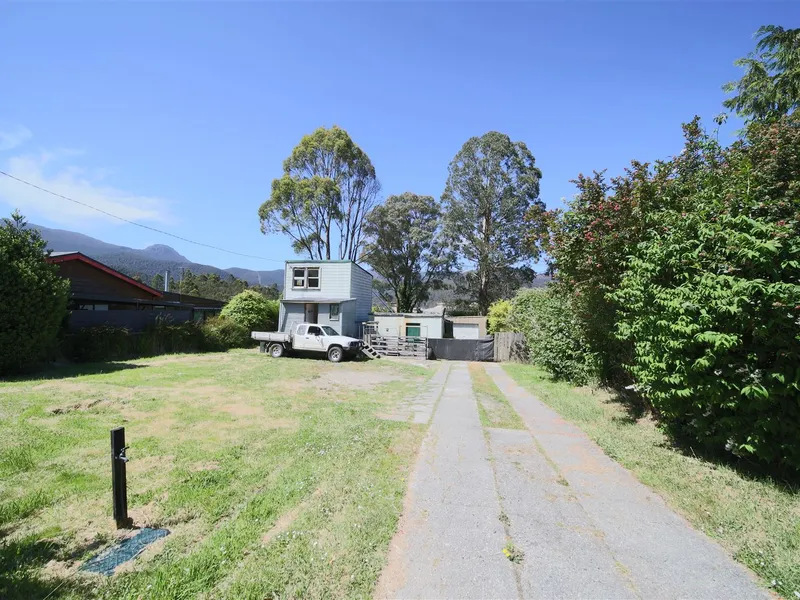 Me The Dog & Some Chickens