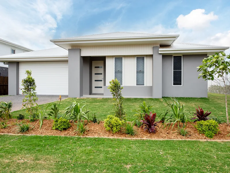 All you want and need!