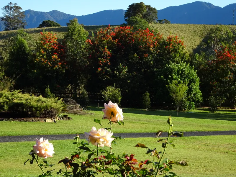 New Built Granny Flat with great rural views to mountains