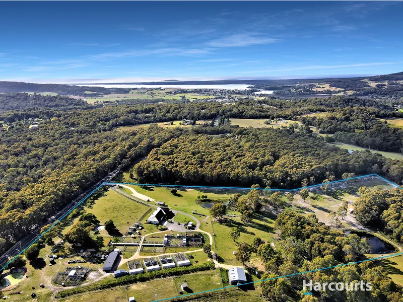 Hobby Farm Opportunity Not To Be Missed