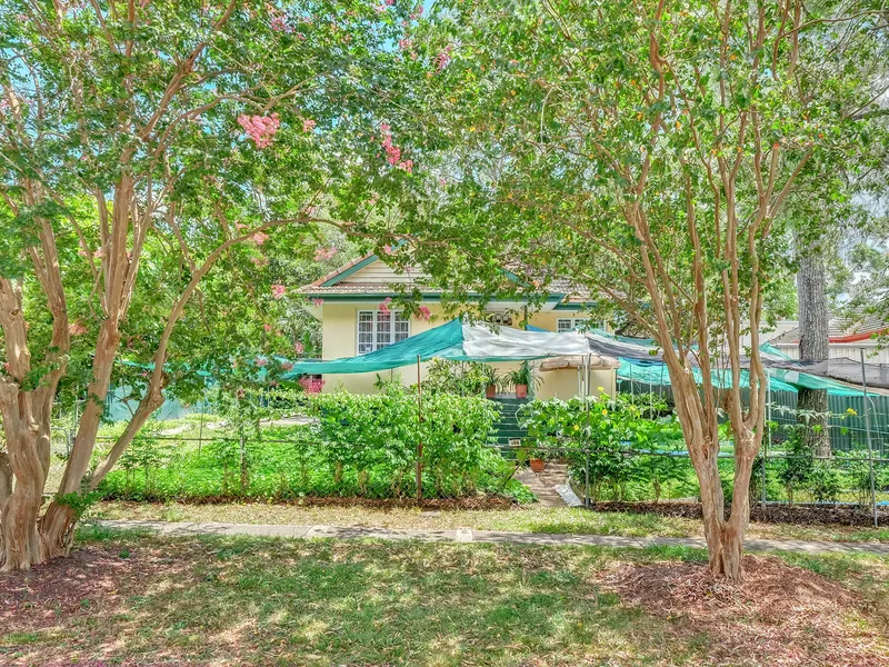 FIRST IN BEST DRESSED !!!