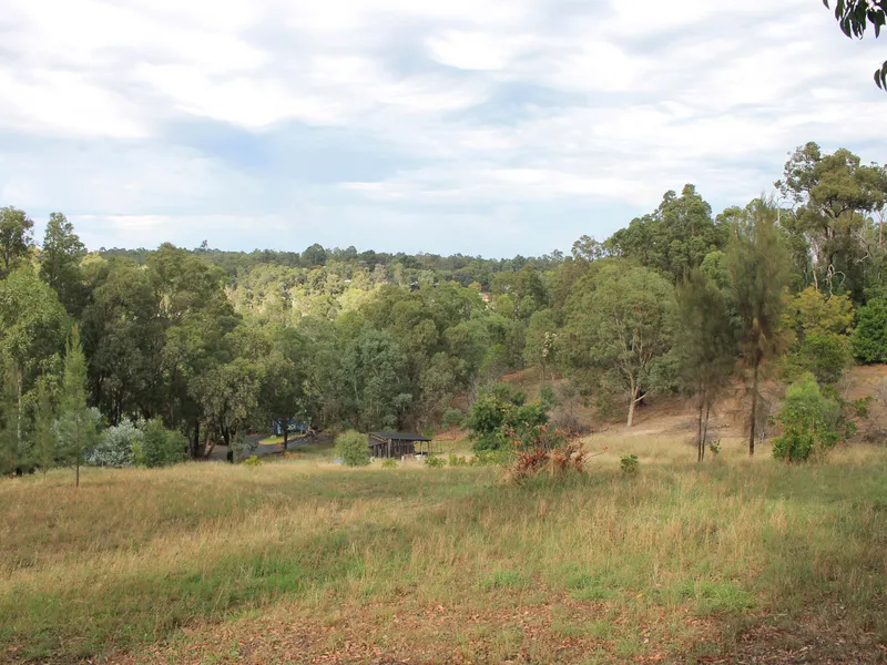 AMAZING VALLEY OUTLOOK