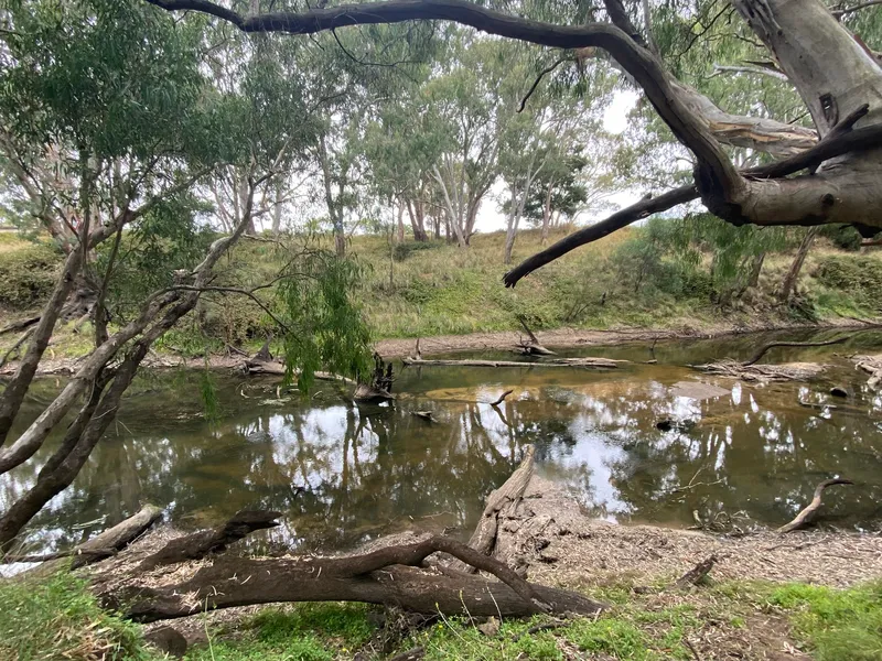 The river at your backdoor