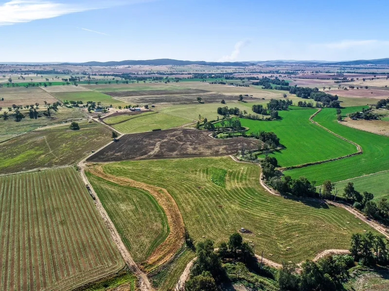 Green Shades Park - Magnificent Belubula River frontage country