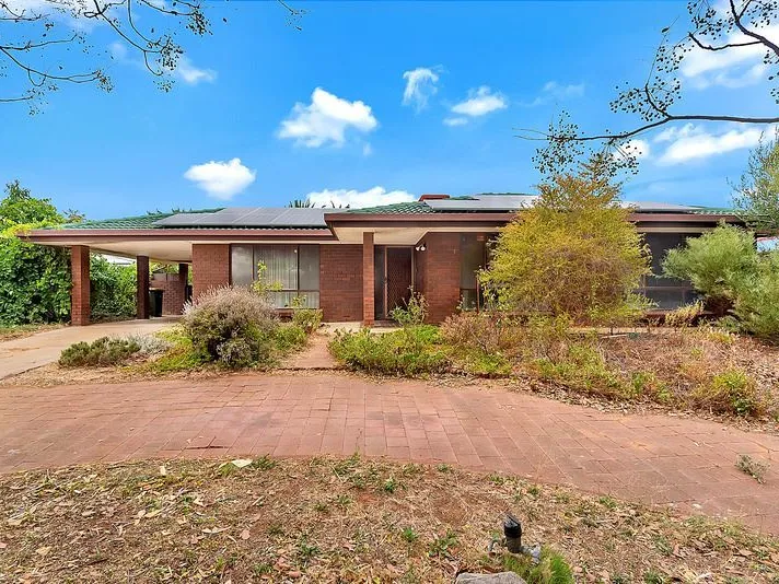 Project with Great Potential