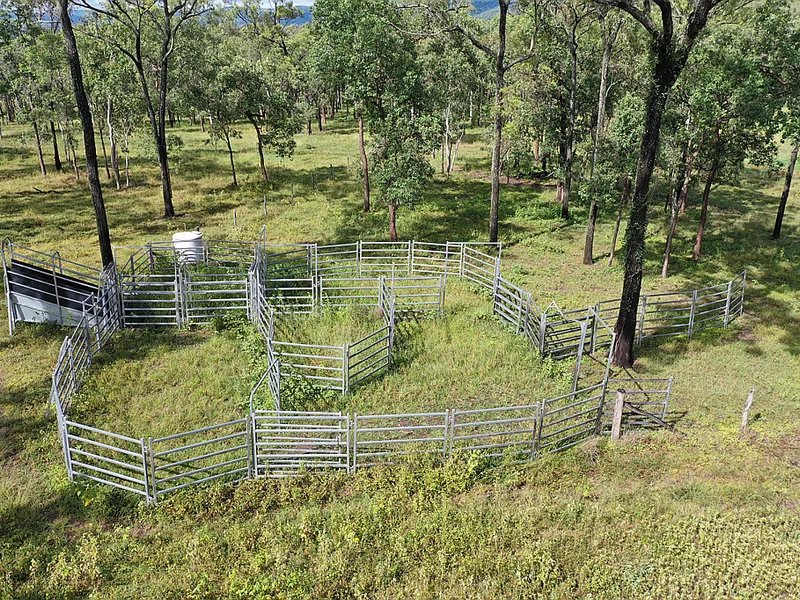 Cattle Property