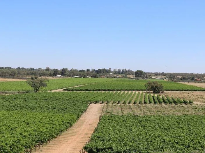 Dried Fruit Business! Property with Plant Included.
