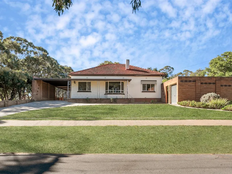 A Once in a Lifetime Opportunity ... 