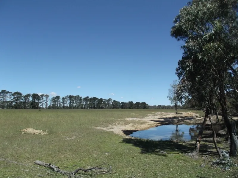 EXCELLENT 11.5 ACRES