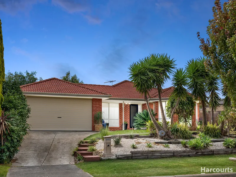 Paramount Location with Open Plan Living & Entertaining.