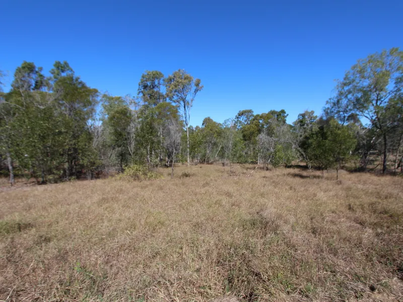 Brilliant Buying on 5 Acres