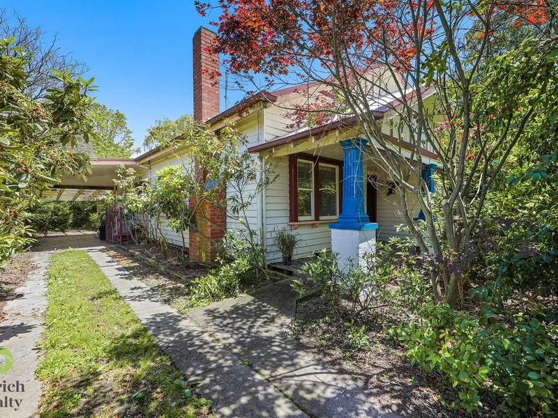 Trafalgar's Diamond In The Rough.