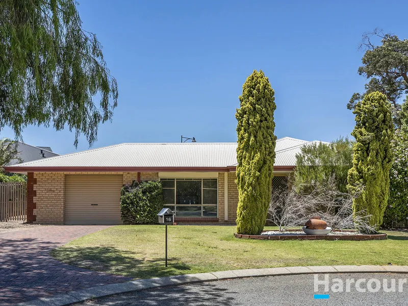 Nest or Invest in Field View