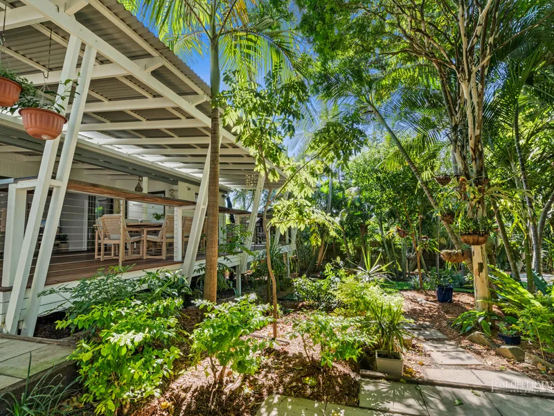 Sun Filled Stylish Sanctuary