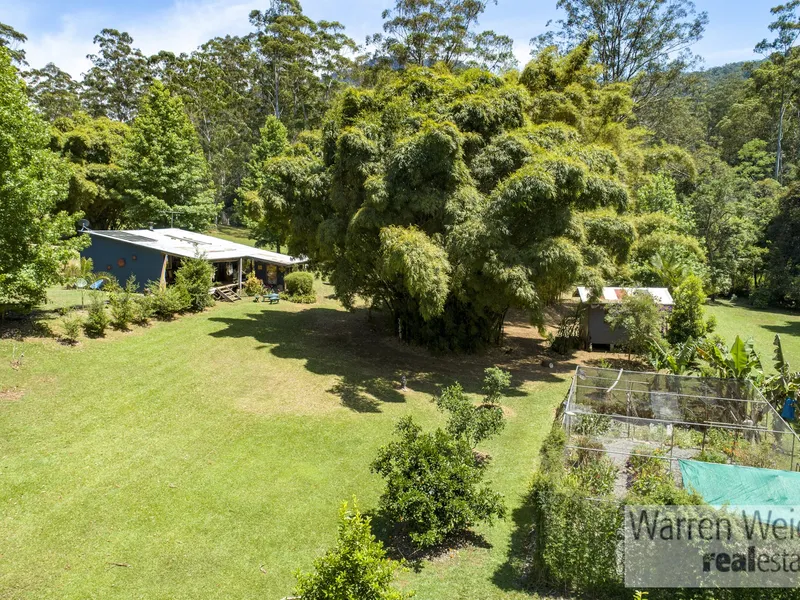 Secluded 100 Acres in Gleniffer nestled under McGraths Hump.