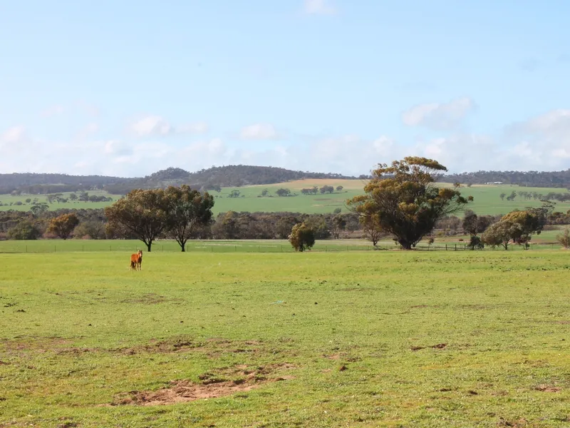 2 x Houses on 213 Acres